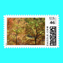 trees in autumn postage