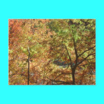 trees in autumn postcards
