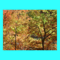 trees in autumn posters