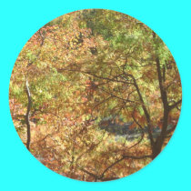 trees in autumn stickers