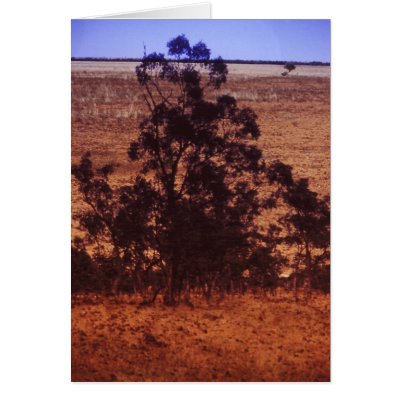 Trees in desert greeting cards by keoma