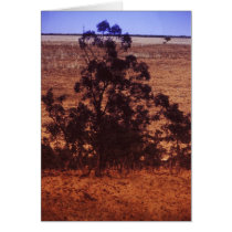 Trees in desert cards by keoma Trees in desert cards