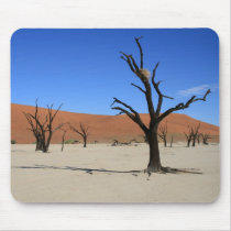Trees in Namibia mousepads