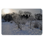 Trees in snow at sunset vinyl magnets