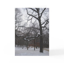 Trees in Snow I Card