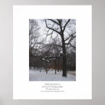 Trees in Snow I Print