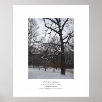 Trees in Snow I Print