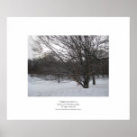 Trees in Snow II Print