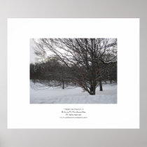 Trees in Snow II Print