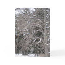 Trees in Snow III Cards
