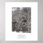 Trees in Snow III Posters
