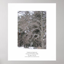 Trees in Snow III Posters