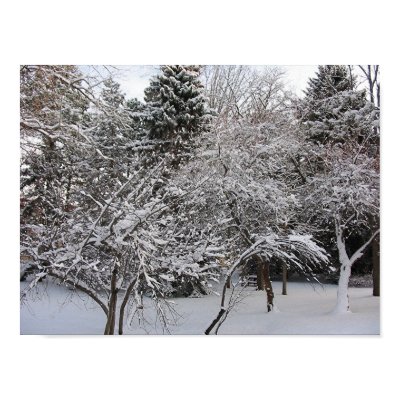Trees in snow poster by ahawks