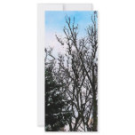 Trees in Snow Rack Card