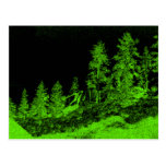 Trees In The Dark Postcard