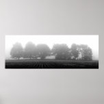 trees in the fog posters