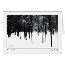 Trees in the Mist Cards