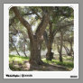 trees in the park photograph room graphic