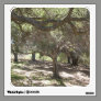 trees in the park photograph wall skin