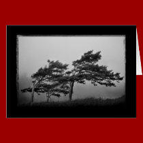Trees in the wind cards cards