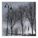 Trees in Water posters by SeeRealPhotos Trees in Water posters