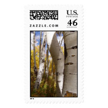 trees in wyoming postage by iiiyaaa trees in wyoming postage