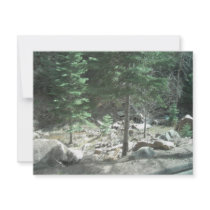 Trees invitations