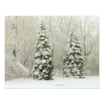 trees invitations