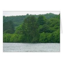 Trees Ireland Lough Gill Card