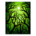 Trees looking up posters by jordanka Trees looking up posters