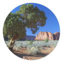 Trees Monument Valley Mesas Buttes stickers by lifesphere Trees Monument Valley Mesas Buttes stickers
