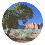 Trees Monument Valley Mesas Buttes Round Stickers