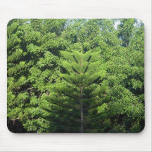 Trees Mouse Pads