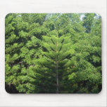 Trees Mouse Pads