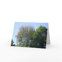 Trees-Nature's cleaner cards by dolly_1 Trees-Nature's cleaner cards