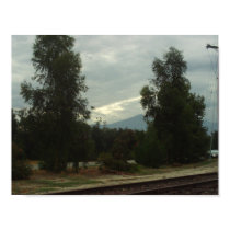 Trees Near The Railroad Tracks posters