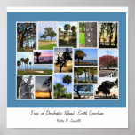 Trees of Daufuskie Island, South Carolina Posters