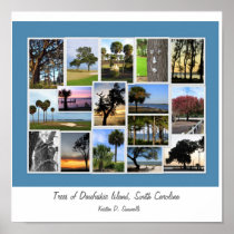 Trees of Daufuskie Island, South Carolina Posters
