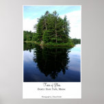Trees of Glass Posters