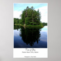 Trees of Glass Posters