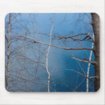 Trees on blue mousepad