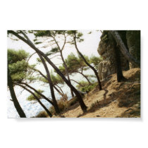 TREES ON ITALIAN HILLSIDE posters by hankmail954 TREES ON ITALIAN HILLSIDE posters