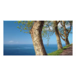 Trees overlooking the ocean photo greeting card