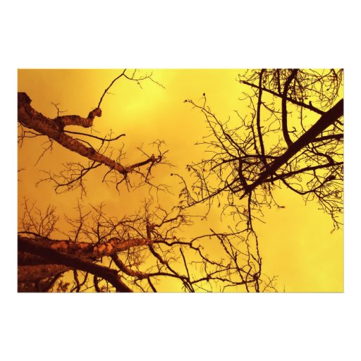 trees photo print
