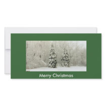 trees photo greeting card
