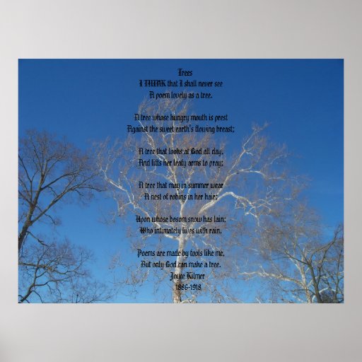 Trees Poster