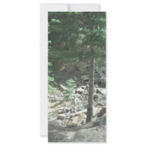 Trees rack cards by Mayaking Trees rack cards