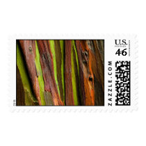 trees rejoice postage by blacqbook trees rejoice postage