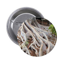 Trees Roots Pins
