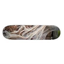 Trees Roots Skate Board